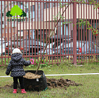 Фотоальбом Наш лес. Посади дерево 2015 2