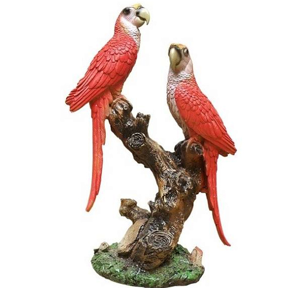 Попугаи средние F01306