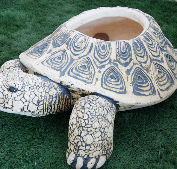 Черепаха большая открытая