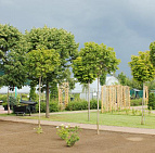 Фотоальбом Садовый центр Южный, 2012 г. Садовый центр Южный, 2012 г.