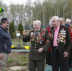 Фотоальбом Сирень ПОБЕДЫ 2015 Сирень ПОБЕДЫ 2015