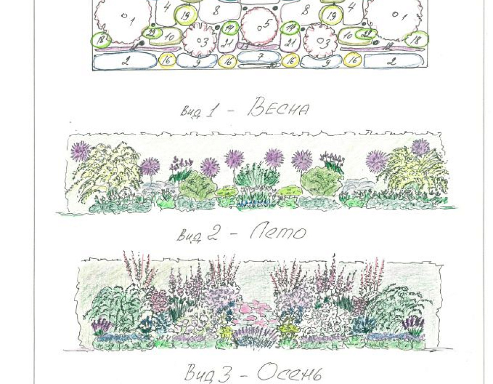 Наталия Вырцан – проект «Аметист» – садовый центр «Южный» лавандовая