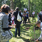 Благоустройство территории Государственного музея-заповедника А.С. Пушкина – Южный Посадка Яблонь