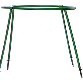 Кустодержатель Роза (черный)/(зеленый)