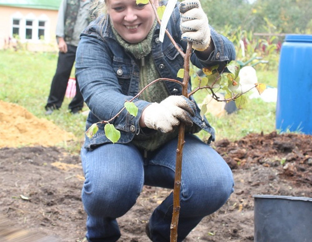 Фотоальбом "Полезные выходные" в музее А.П.Чехова в Мелихове "Полезные выходные" в музее А.П.Чехова в Мелихове