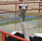 Фотоальбом День Открытых Дверей 2016 День Открытых Дверей в садовом центре Южный