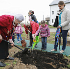 Фотоальбом Сирень ПОБЕДЫ 2015 Сирень ПОБЕДЫ 2015