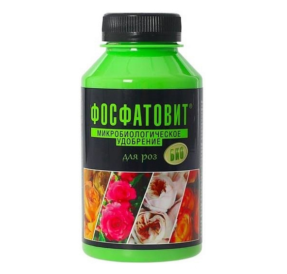 Фосфатовит для роз