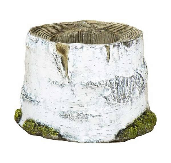 Пень кашпо березовый малый F02016