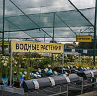 День работника торговли 2016 - садовый центр Южный
 День работника торговли 2016