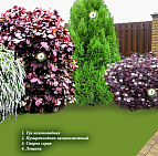 Елена Буренина – проект «Разноцветный уютный мир» – садовый центр «Южный» Угловой миксбордер