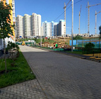 Благоустройство территории ЖК в г. Видное – Южный Аллея посадок