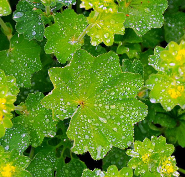 Манжетка мягкая