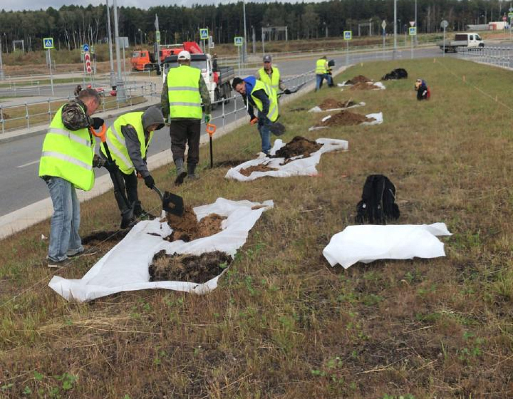 Благоустройство дорожного участка в посёлке Комунарка – Южный Озелеленение Комунарка