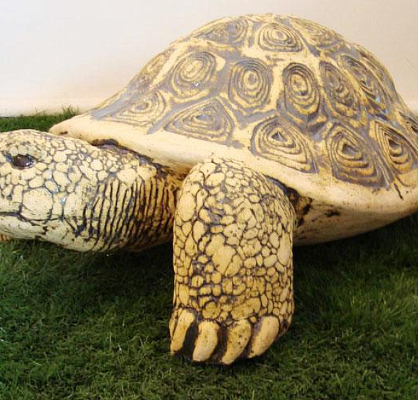 Черепаха большая закрытая