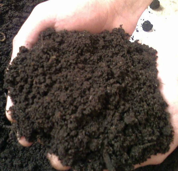 Торф верховой нейтрализованный, линия АГРО/Питэр Пит/