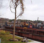 Фотоальбом Посадка крупномеров на берегу Клязьминского водохранилища с баржи. Ива желтокорая. Фотография 13