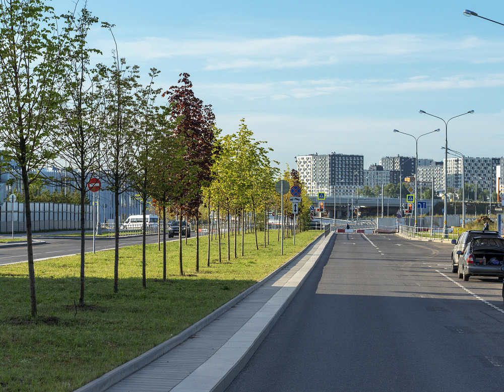 Благоустройство территории Административно-делового центра в п. Коммунарка – Южный Комунарка6