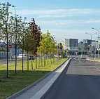 Благоустройство территории Административно-делового центра в п. Коммунарка – Южный Комунарка6