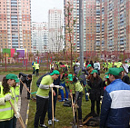 Фотоальбом Наш лес. Посади дерево 2015 1