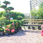 Фотоальбом День Открытых Дверей 2016 День Открытых Дверей в садовом центре Южный