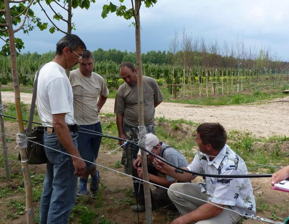 Фотоальбом Садовый центр Южный, 2012 г. Садовый центр Южный, 2012 г.