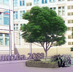 Илья Трусов – озеленения школы в г. Москва – садовый центр «Южный» 4
