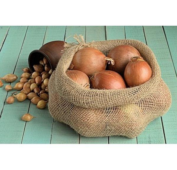 Лук-севок СТУРОН 10-21мм желтый 0,5кг