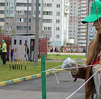 Фотоальбом Наш лес. Посади дерево 2015 9