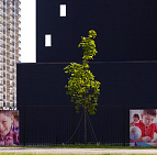 Благоустройство дворов в г. Люберцы – Южный Благоустройство и озеленения в г.Люберцы