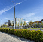 Благоустройство территории Административно-делового центра в п. Коммунарка – Южный Комунарка7