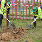 Фотоальбом Наш лес. Посади дерево 2015 7