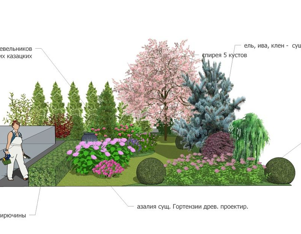 Юлия Матовникова – проект «Райская дача» – садовый центр «Деревенский палисадник» эскиз