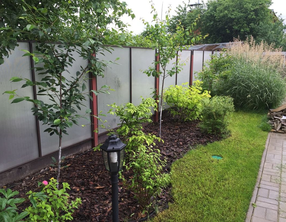 Елена Ведерникова – проект «Европейский дворик» – садовый центр «Южный» плодовые вдоль забора
