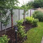 Елена Ведерникова – проект «Европейский дворик» – садовый центр «Южный» плодовые вдоль забора