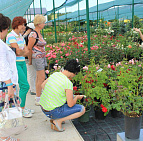 Фотоальбом Семинар по уходу за розами от 25.06 Семинар по уходу за розами от 25.06