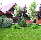 Ландшафтный дизайн: Готовый проект участка 15 соток КП в г. Чехов | Садовый центр растений Южный klen-v-dizaine-landshaft