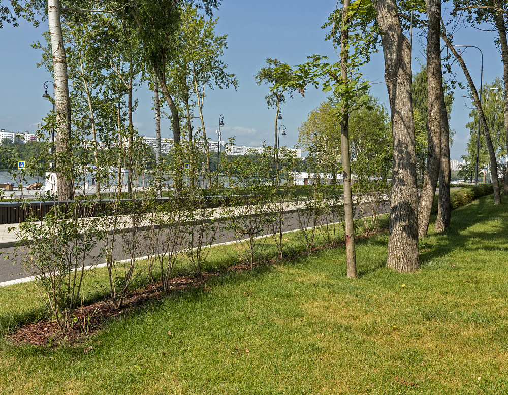 Благоустройство территории в районе Левобережный города Москвы – Южный Левобережный4