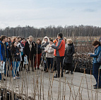Фотоальбом Конференция 2017 Многолетние цветы в ландшафтном дизайне Конференция 2017 года Многолетники в дизайне