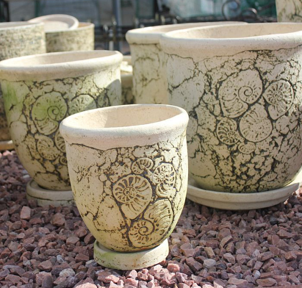 Ракушки набор из 3-шт. шамот