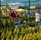 Фотоальбом Праздник в садовом центре Южный 14 мая 2016 Праздник в садовом центре Южный!