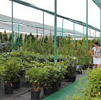 Фотоальбом Садовый центр Южный, 2012 г. Садовый центр Южный, 2012 г.