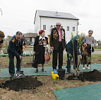 Фотоальбом Сирень ПОБЕДЫ 2015 Сирень ПОБЕДЫ 2015