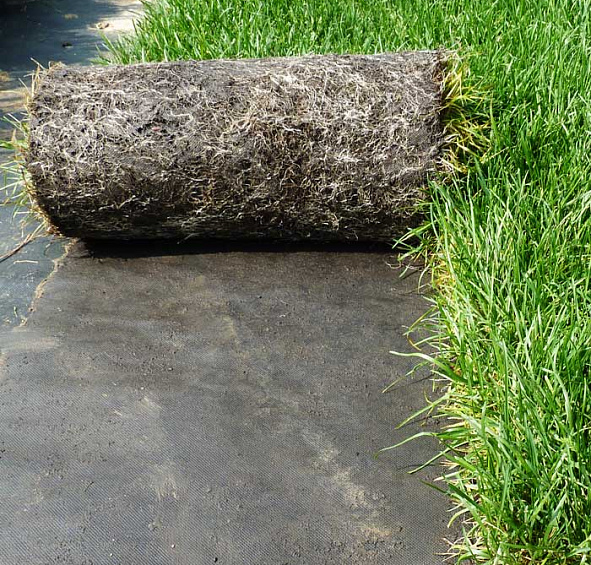 Газон рулонный Универсальный