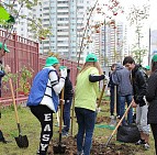 Фотоальбом Наш лес. Посади дерево 2015 8