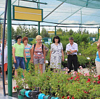 Фотоальбом Семинар по уходу за розами от 25.06 Семинар по уходу за розами от 25.06