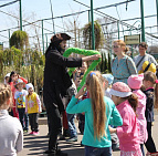 Фотоальбом Шоу мыльных пузырей 29 апреля 2017 Шоу мыльных пузырей