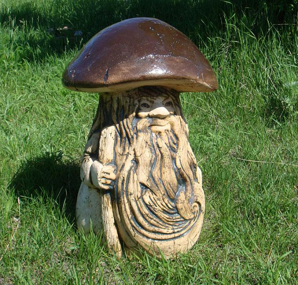 Гриб-боровик