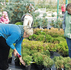 Фотоальбом Праздник урожая сентябрь 2014 Праздник урожая сентябрь 2014