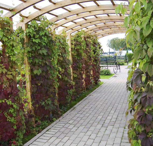 Арка из дерева 2 м